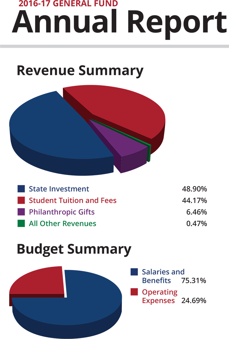Annual Report - Revenue Summary