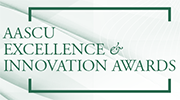 Excellence and Innovation Award